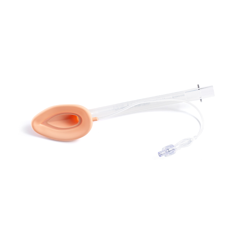 Karaniwang Silicone Laryngeal Mask Airway