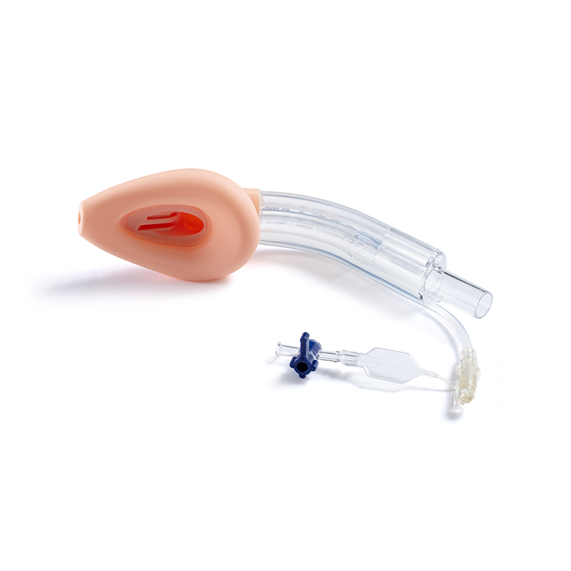 Double‑Lumen Anti‑Aspiration Laryngeal Mask Airway